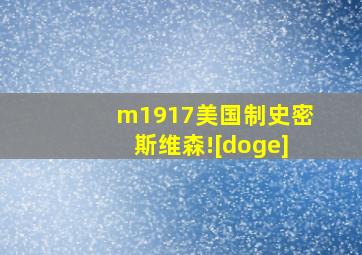 m1917美国制史密斯维森![doge]